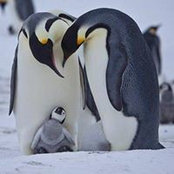 Andreia Amica's photo