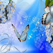 Cleopatra Carfield's photo