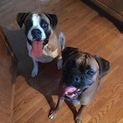 Denise Batchelor's photo
