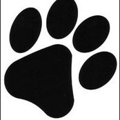 Anthony Binder's photo