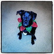 Mary DeLude's photo