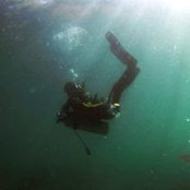 Mitch Chelle's photo