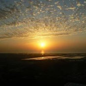 Debbie Wahle's photo