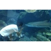 Yervand Khalapyan's photo
