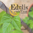 Photo de profil de Edulis Paysage