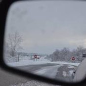Elissa Cohen's photo