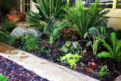This is an example of a landscaping in Los Angeles.
