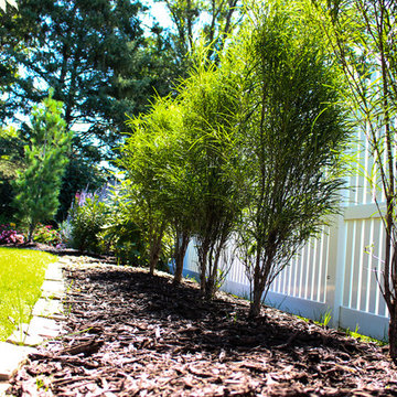 Well Placed Trees Growing in Private Garden