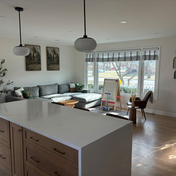 Mount Prospect Open Concept Kitchen