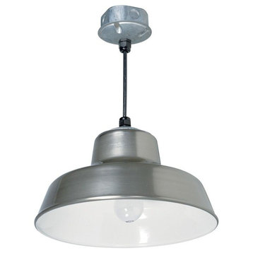 Indoor Outdoor 1-Light 14" Silver Metal Hanging Reflector Light