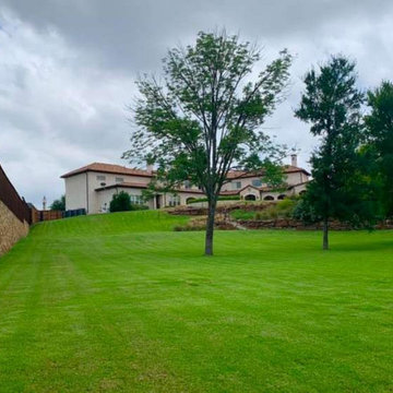 Weekly Lawn Care + Fertilization and Weed Control