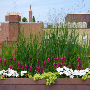 City Rooftop and Roof Terrace, Boston MA