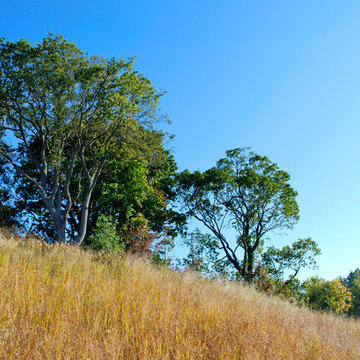 Severn Overlook