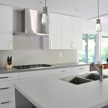 Monochromatic Shades - Kitchen Renovation