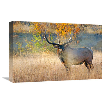 "Bull Elk Steamer" by Vic Schendel, 22"x15"