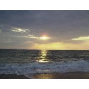 Lela Panagides's photo