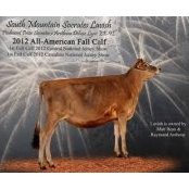Rolling Farm's photo