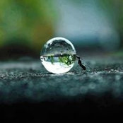 Aurore Bellengier's photo