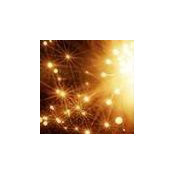 Mirella Zepeda's photo