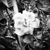 Rebel Anne Huffman's photo