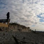Tara Carson's photo