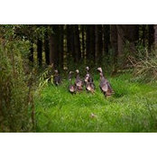 Phyllis Schlag's photo
