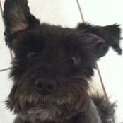 Pamela Williams's photo