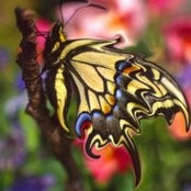 Antonette Trejo's photo