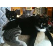 Erin Rendulic's photo