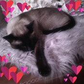 Conny Zahn's photo