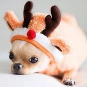 Laurie Montgomery's photo