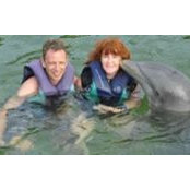 Nancy Foisy's photo