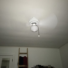 Emily's ideas