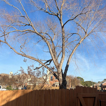 Tree Trimming and Weight Reduction