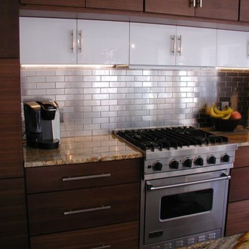 Contemporary Kitchen Renovation