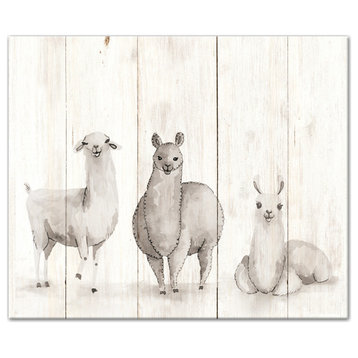 All The Llamas 24x20 Canvas Wall Art
