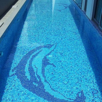 Swimming Pool Tiles - Dolphin Single Design - Direct Tile Warehouse