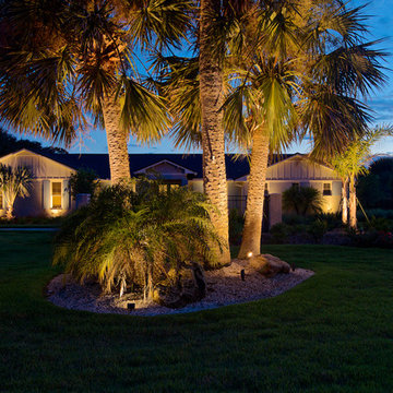 Ponte Vedra Remodel - Landscape Lighting