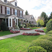 Garden ideas
