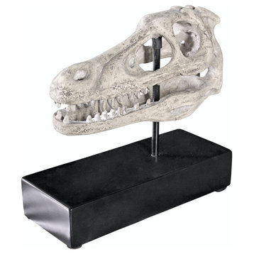 Velociraptor Skull Fossil Statue