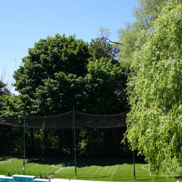 Soccer Field - Backyard