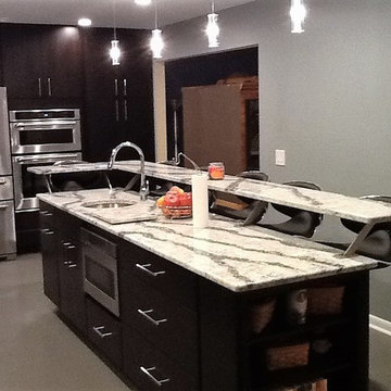 Contemporary Kitchen Remodel