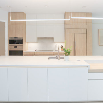 Kitchen Renovation Barton Spring