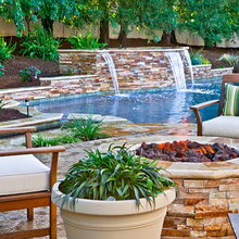 Dream Yard
