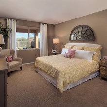 flooring/carpet
