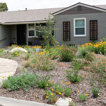 Front Yard Makeover