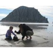 Sarah Mock's photo