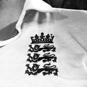 Ben Court's photo