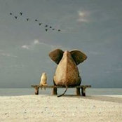 Catherine Bertrand's photo