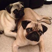 Jayne Bradshaw's photo